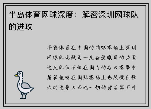 半岛体育网球深度：解密深圳网球队的进攻